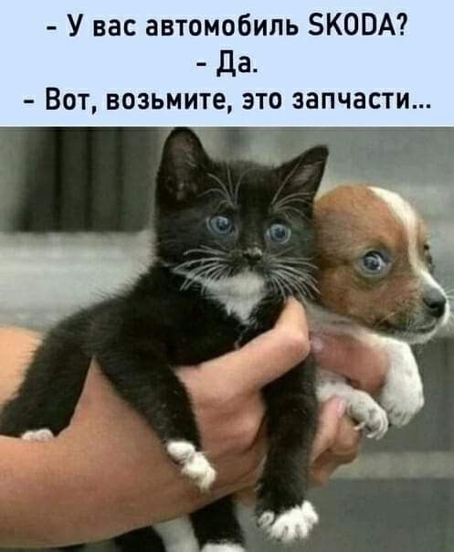 У вас автомобиль ЗКОВА да ВОТ ВОЗЬМИТЕ ЭТО ЗЗПЧЗСТИ