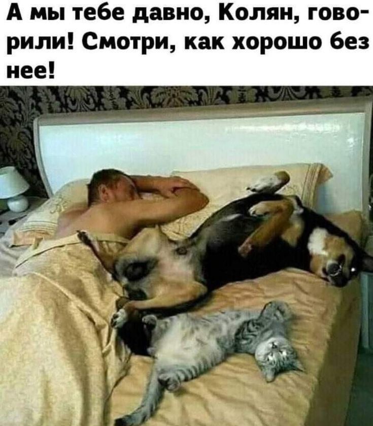 А мы тебе давно Колян гово рили Смотри как хорошо без нее