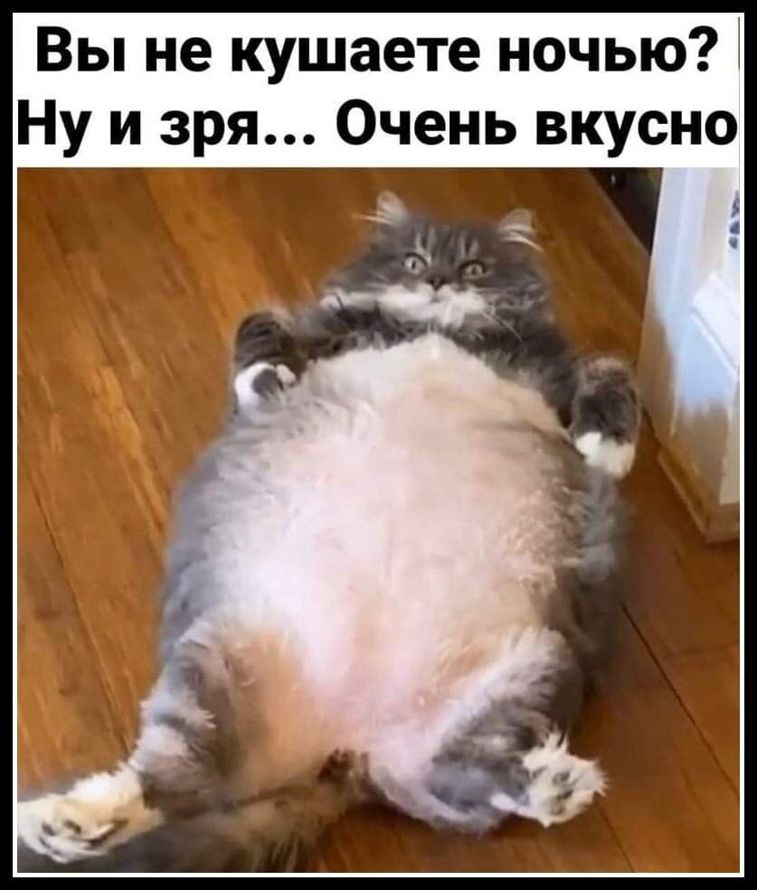 Вы не кушаете ночью Ну и зря Очень вкусно