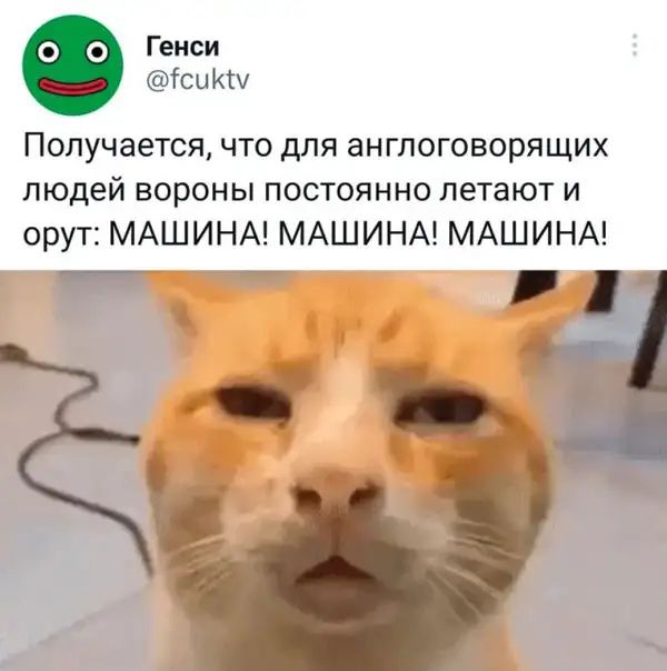 Генси ісикш Получается что для англоговорящих людей вороны постоянно летают и орут МАШИНА МАШИНА МАШИНА Ё