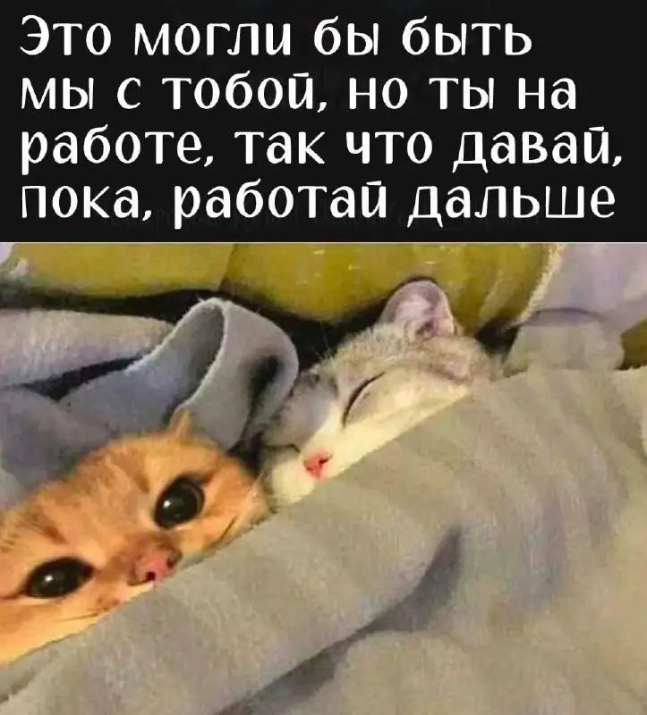 Это могли бы быть мы с тобой но ты на работе так что давай пока работа дальше