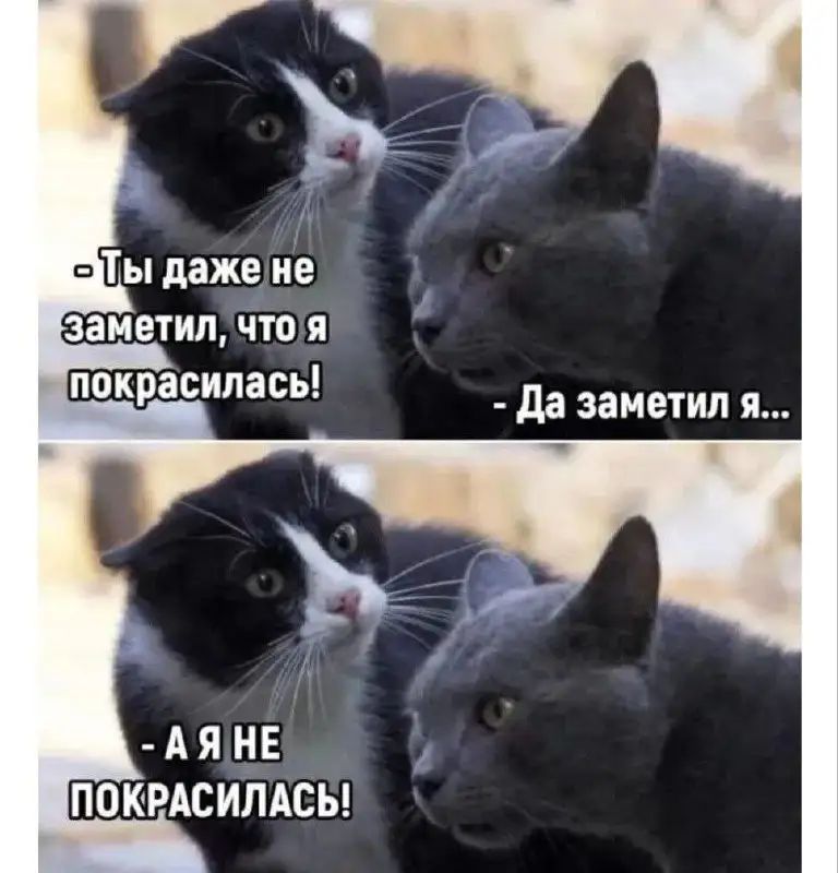 Ты даже не заиечип что я покрасилась да заметил я ПОКРАСИЛАСЫ