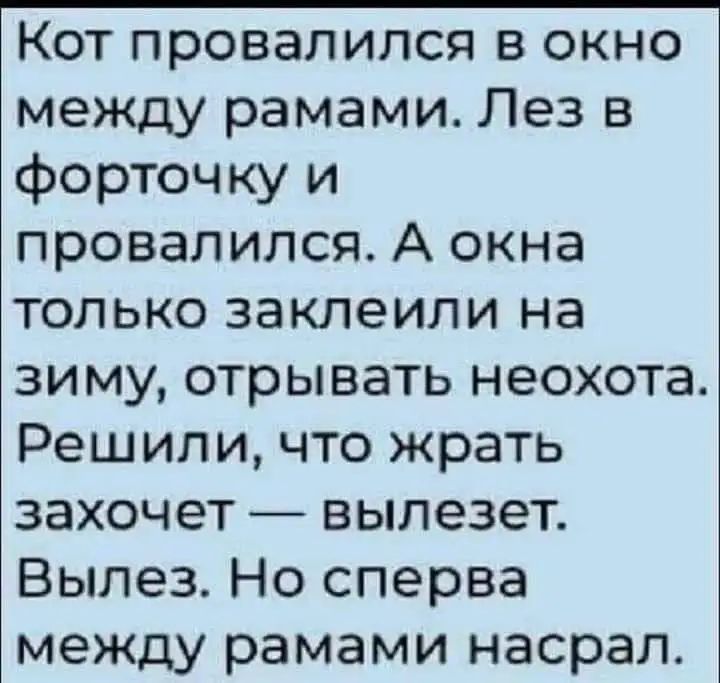 Кот провалился в окно между рамами Лез в форточку и провалился А окна только заклеипи на зиму отрывать неохота Решили что жрать захочет вылезет Вылез Но сперва между рамами насрал