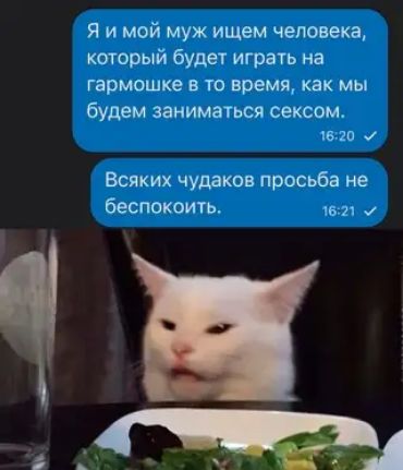 Я и мой муж ищем человека который будет играть на гармошка в то время как мы будем ЗЗНИМЗТЬСЯ СЕКСОМ Всяких чудаков просьба не беспокоить _