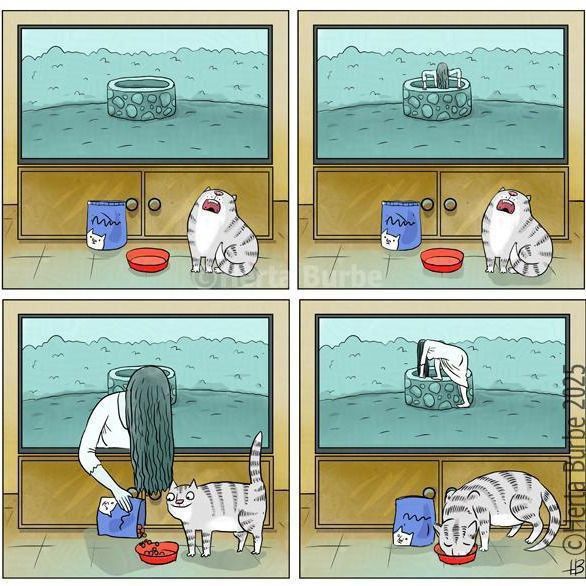 Комикс: кот и человек у мисок с едой, несколько кадров