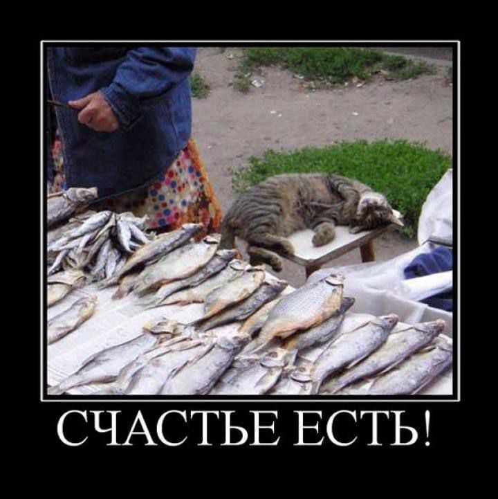 Счастье есть!