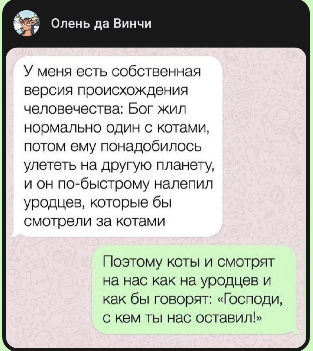 У меня есть собственная версия происхождения человечества: Бог жил нормально один с котами, потом ему понадобилось улететь на другую планету, и он по‑быстрому налепил уродцев, которые бы смотрели за котами. Поэтому коты и смотрят на нас как на уродцев и как бы говорят: «Господи, с кем ты нас оставил!»