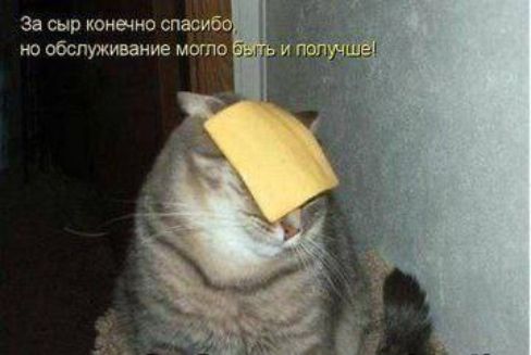 За сыр конечно спасибо, но обслуживание могло быть и получше!