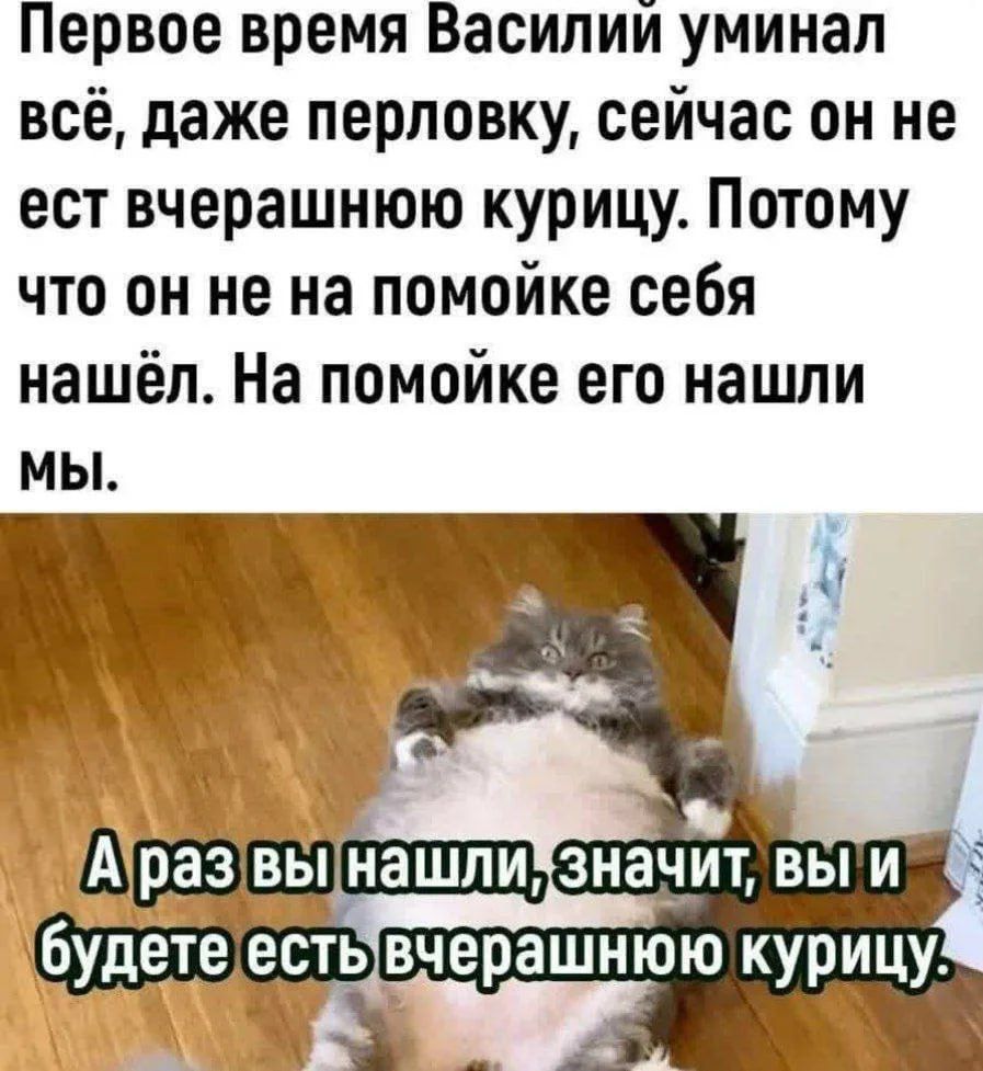 Первое время Василий умирал всё, даже перловку, сейчас он не ест вчерашнюю курицу. Потому что он не на помойке себя нашли. На помойке его нашли мы. А раз вы нашли, значит, вы и будете есть вчерашнюю курицу.