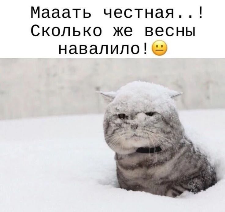Маат честная..! Сколько же весны навалило! 😕