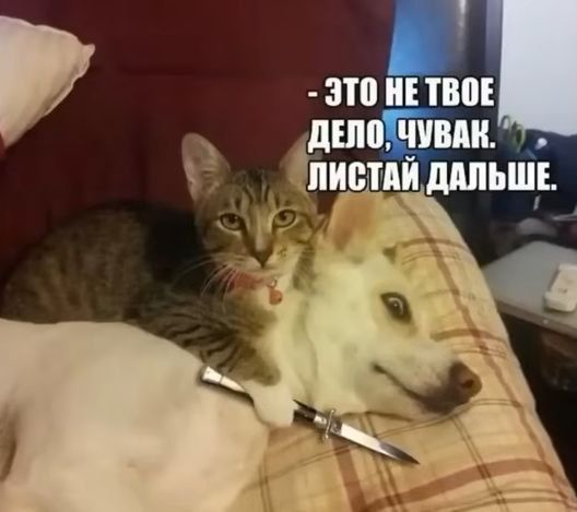 - ЭТО НЕ ТВОЕ ДЕЛО, ЧУВАК. ЛИСТАЙ ДАЛЬШЕ.