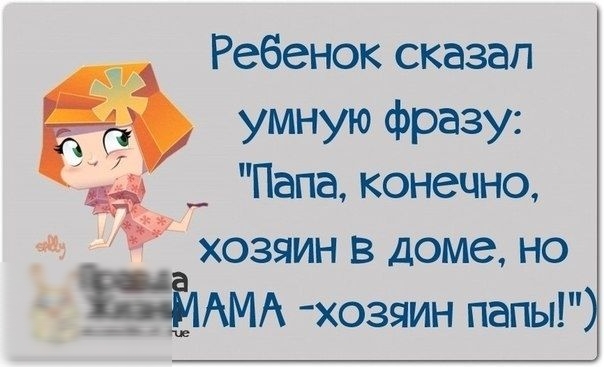 Ребенок сказал умную фразу Папа конечно хозяин в доме но _ АМА хозяин папы