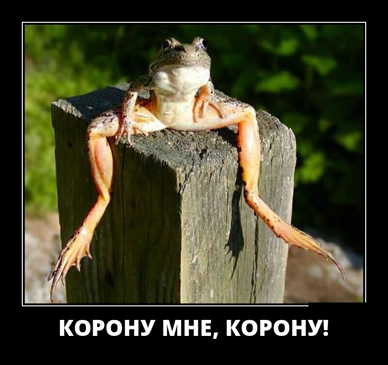 КОРОНУ МНЕ КОРОНУ