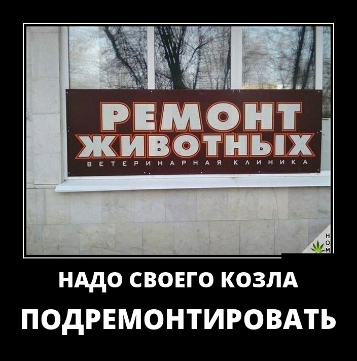 ивмюні животных НАДО СВОЕГО КОЗЛА ПОДРЕМОНТИРОВАТЪ