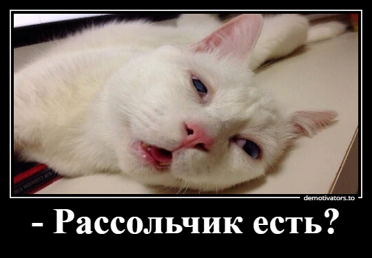 Рассольчик есть
