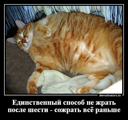 Единственный способ не жрать после шест сожрать всё раньше