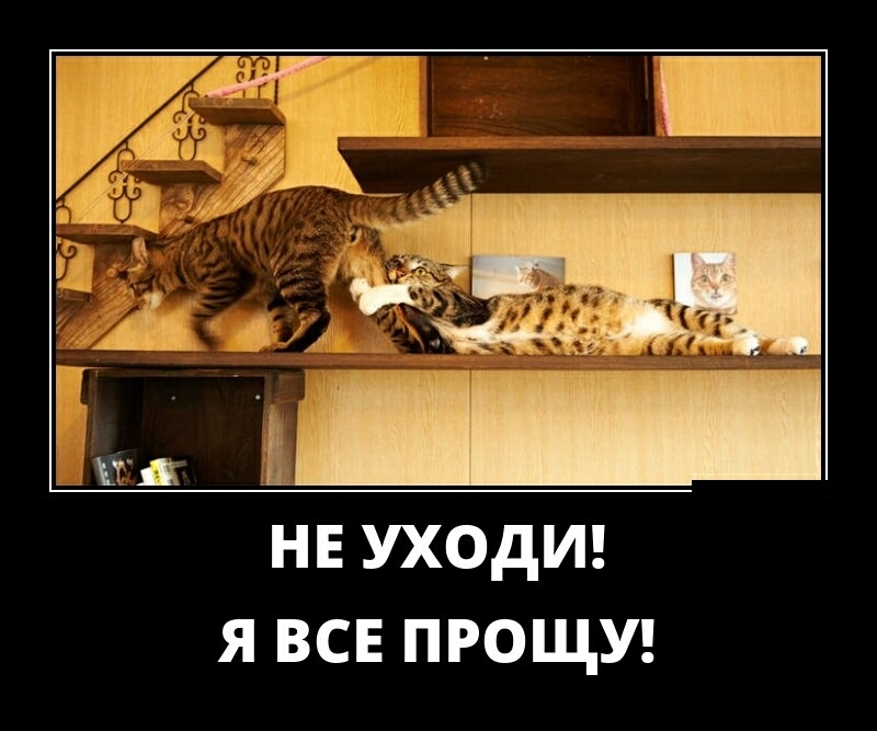 нн уходы я всп пгощш