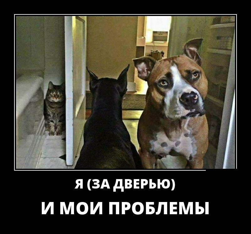 Я ЗА дВЕРЬЮ И МОИ ПРОБЛЕМЫ