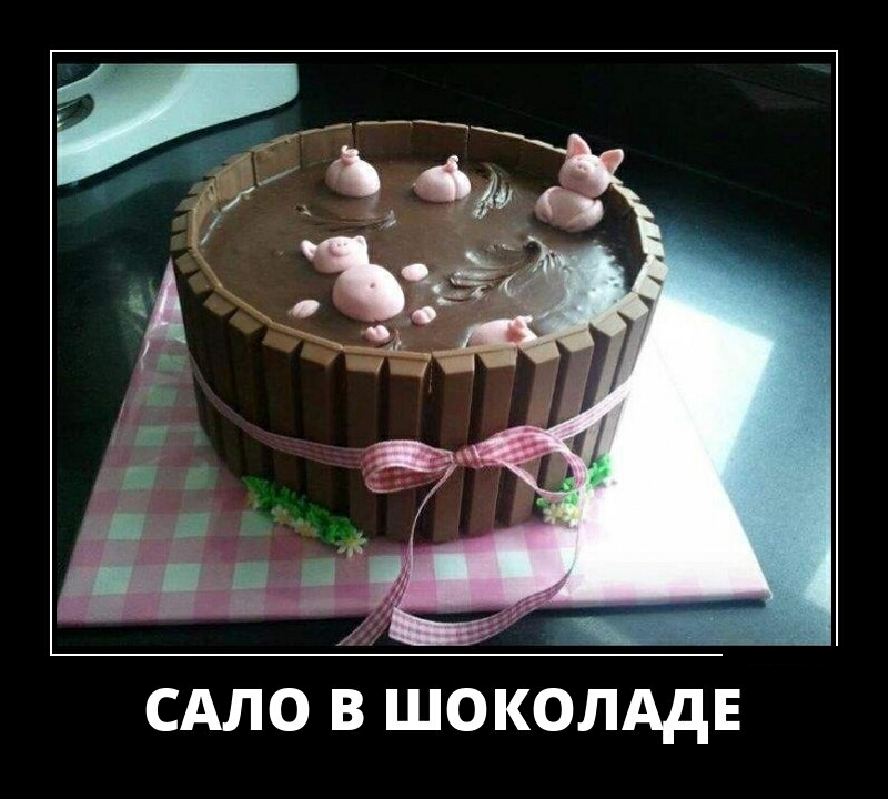 САЛО в ШОКОЛАдЕ