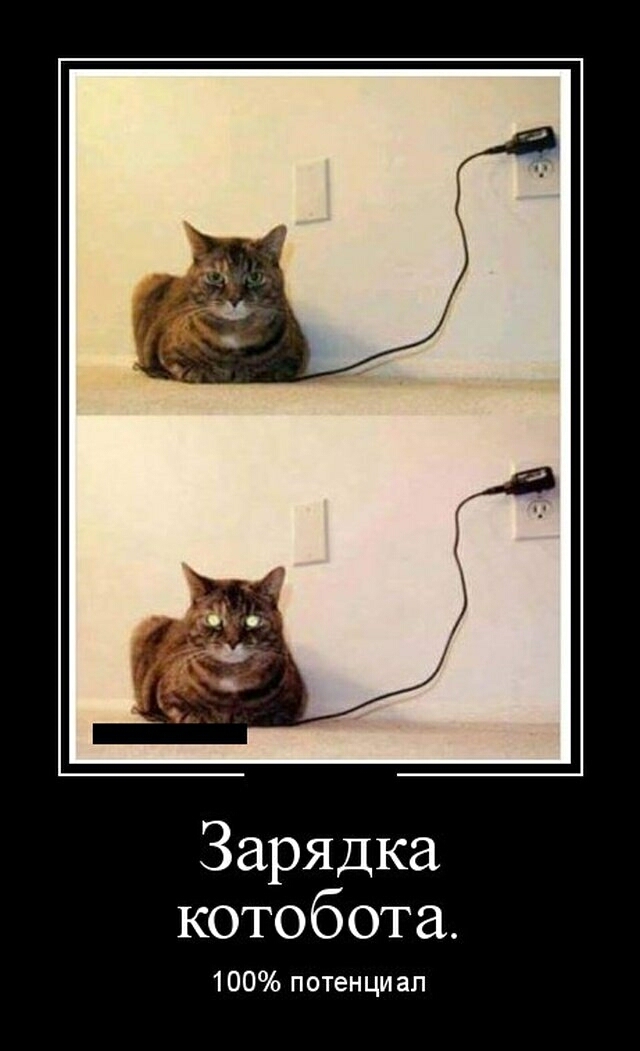 Зарядка котобота 100 потенциал