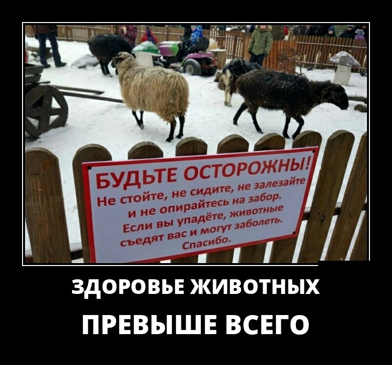здоровы животных ПРЕВЫШЕ ВСЕГО