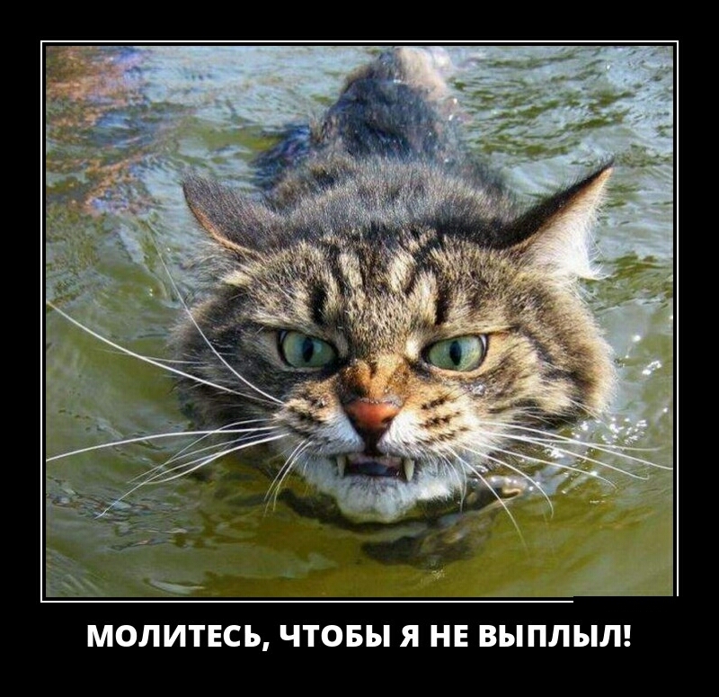 МОЛИТЕСЪ ЧТОБЫ Я НЕ ВЫПЛЫЛ