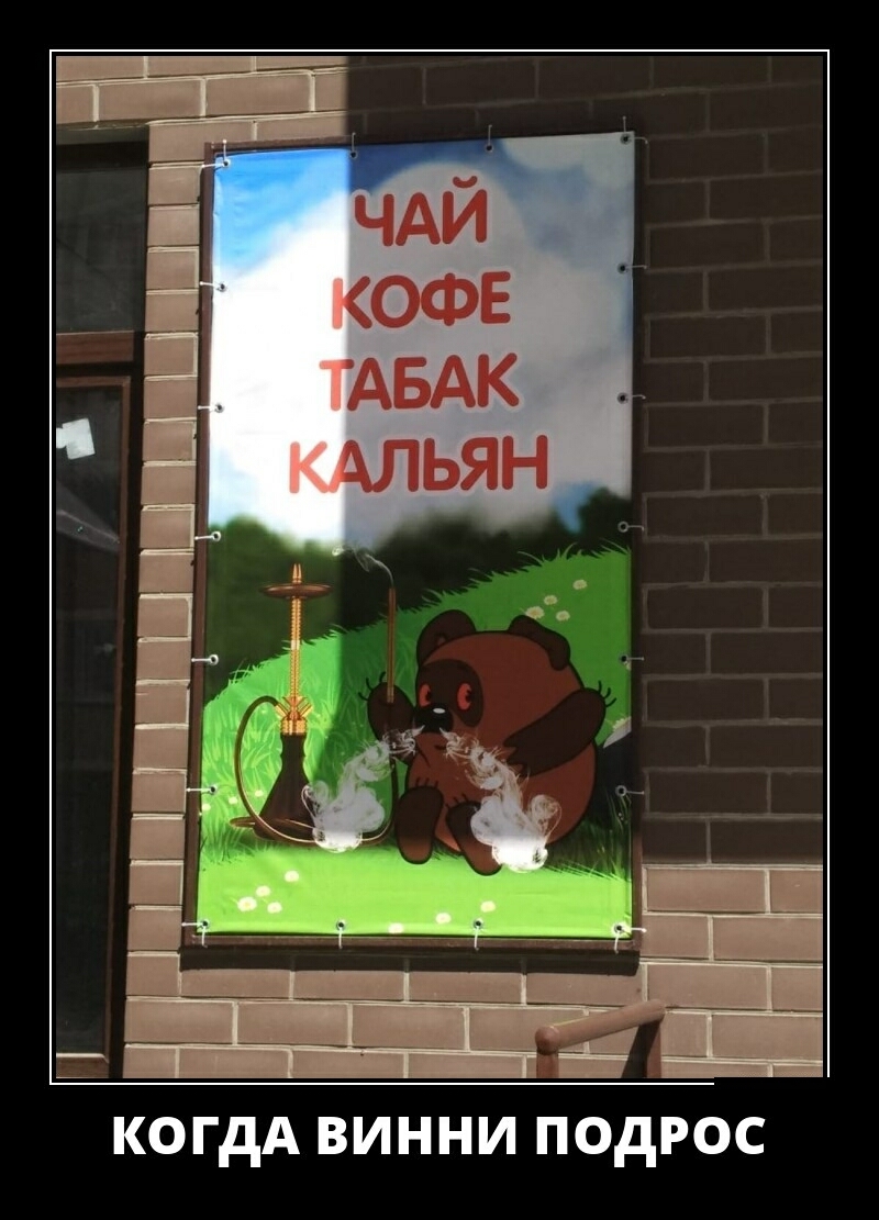 КОГДА ВИННИ ПОДРОС