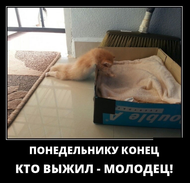 ПОНЕДЕЛЬНИКУ КОНЕЦ КТО ВЫЖИЛ МОЛОДЕЦ