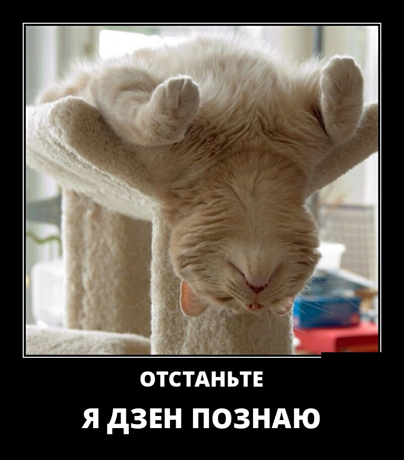 н отстднЬтв Я дЗЕН ПОЗНАЮ