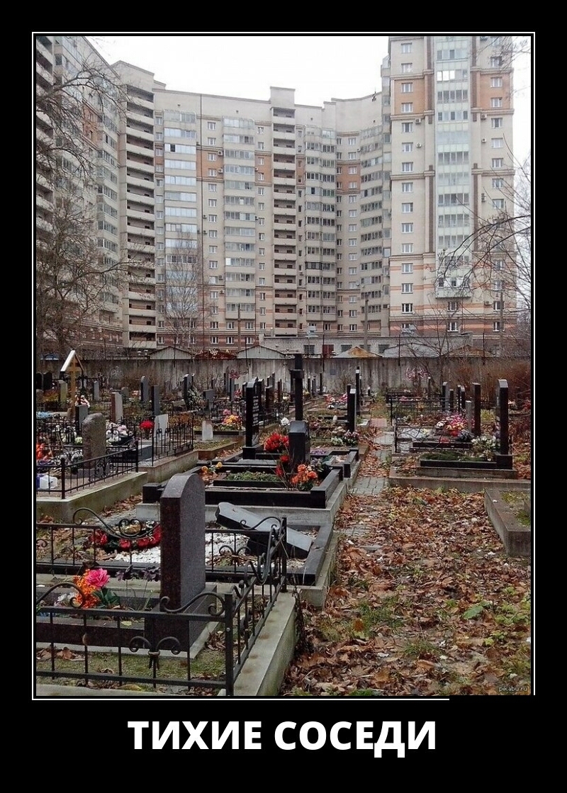 ТИХИЕ СОСЕДИ