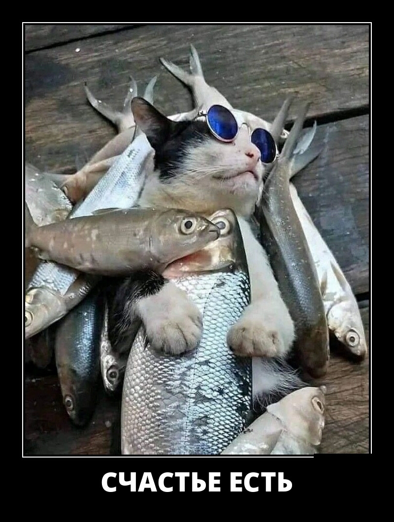 СЧАСТЬЕ ЕСТЬ