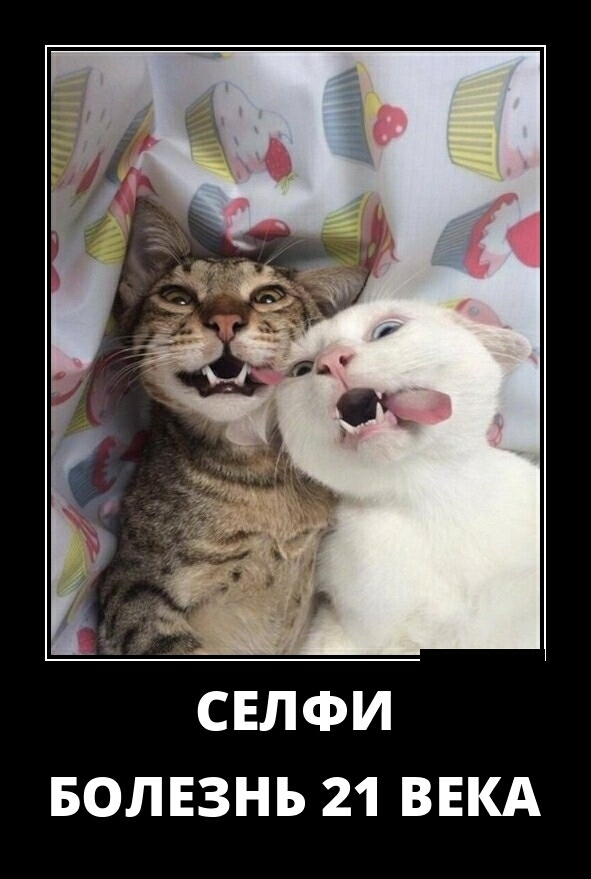 СЕЛФИ БОЛЕЗНЬ 21 ВЕКА