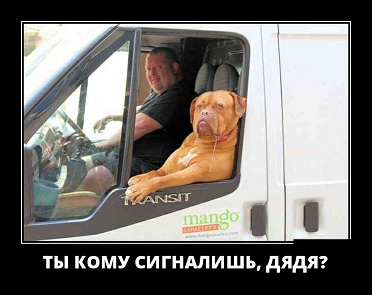 ТЫ КОМУ СИГНАЛИШЬ дЯдЯ