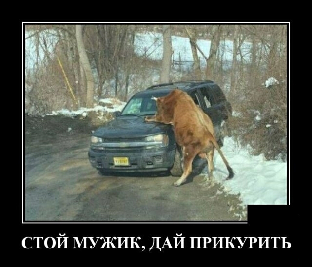 Ш СТОИ МУЖШС