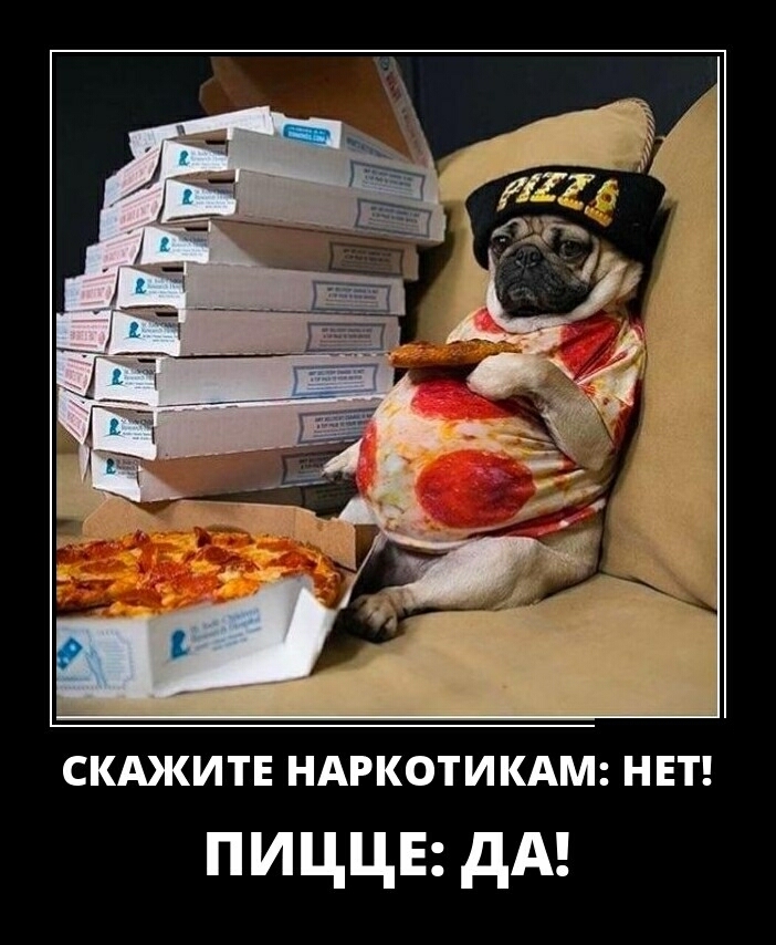 СКАКИТЕ НАРКОТИКАМ НЕТ пиццв дА