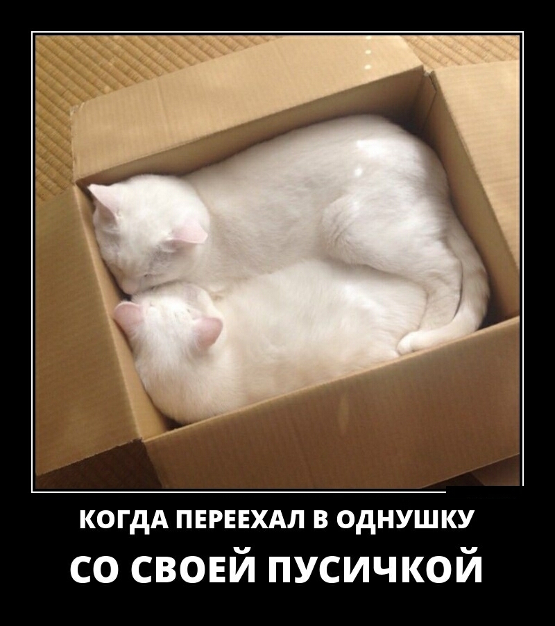 КОГДА ЕРЕЕАЛ В ОдНУШКУ со свовй пусичкой