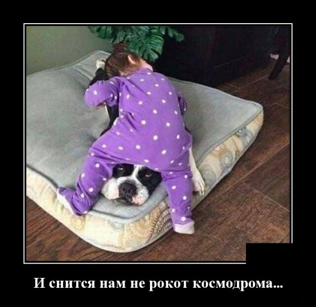 И снится нам не рокот космодрома