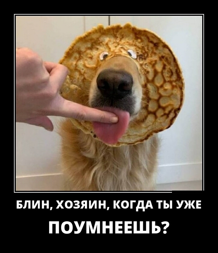 БЛИН ХОЗЯИН КОГДА ТЫ УКЕ ПОУМНЕЕШЬ