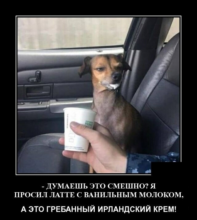 ДУМАЕШЬ ЭТО СМЕШНО Я ПРОСИЛ ЛАТТЕ С ВАНИЛЬНЫМ МОЛОКОМ А ЭТО ГРЕБАННЫЙ ИРПАНДСКИЙ КРЕМ