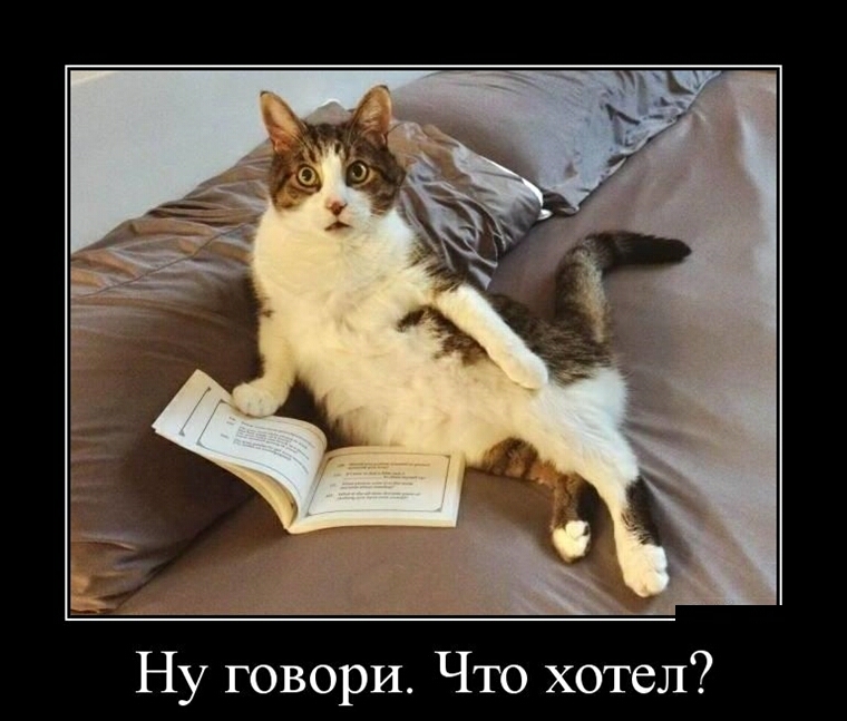 Ну говори Что хотел