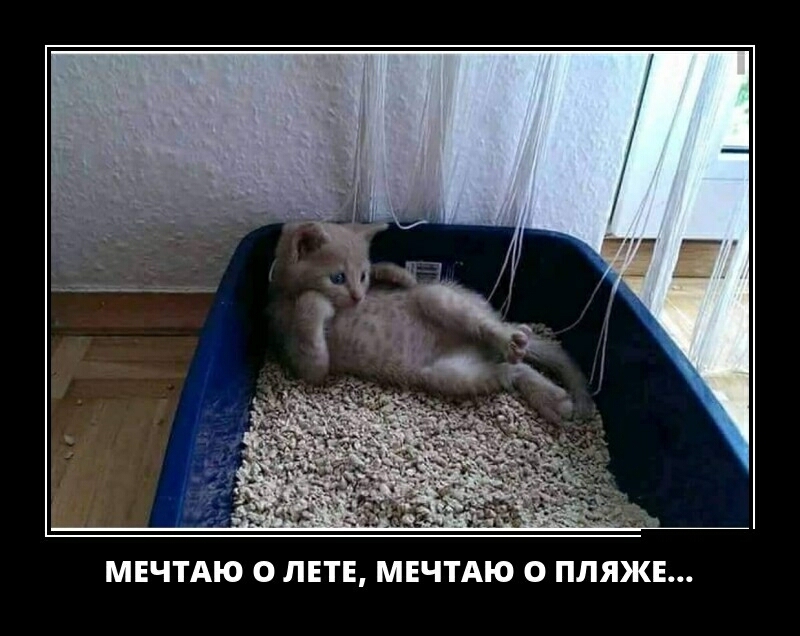 МЕЧТАЮ 0 ЛЕТ МЕЧТАЮ О ПЛЯЖЕ