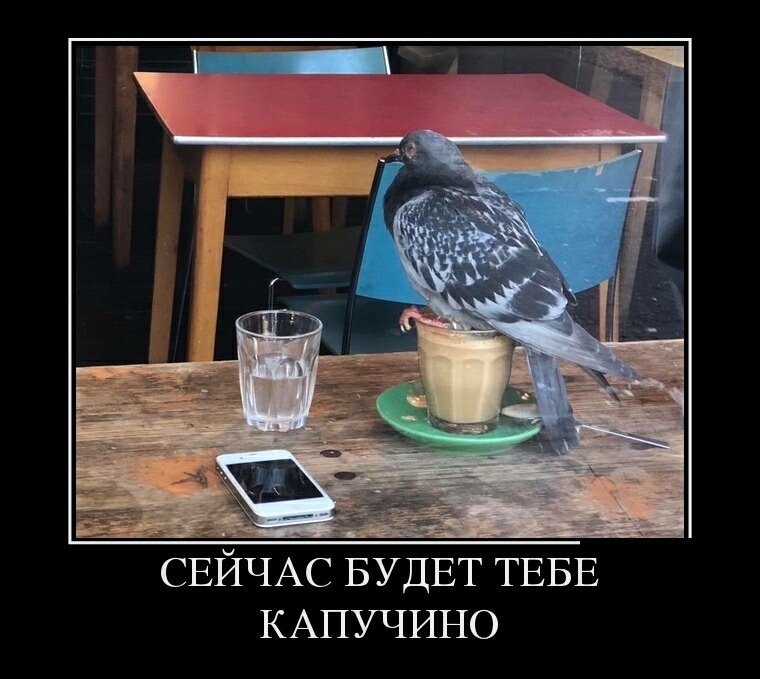 СЕЙЧАС БУДЕТ ТЕБЕ КАПУЧИНО
