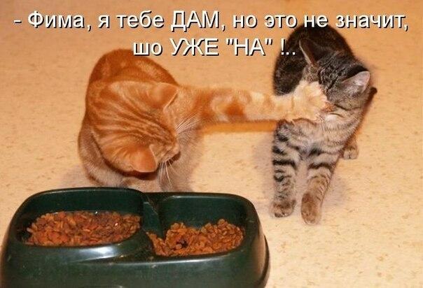 Фимаш гэб 1г11Г гю эгг значит о УЖЕ гі