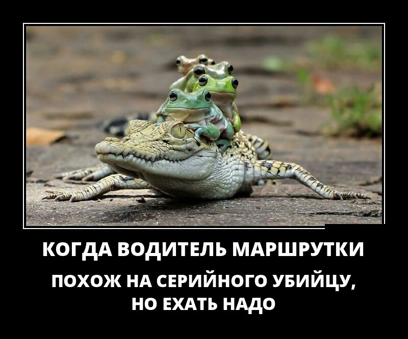 КОГДА ВОДИТЕЛЬ МАРШ РУТКИ похож НА сврийного УБИЙЦУ но ЕХАТЪ нддо