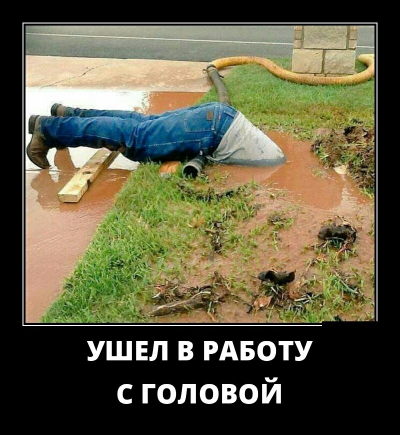 сголовой
