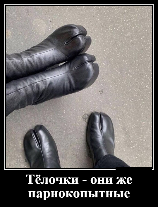 Тёлочки они же парнокопытные