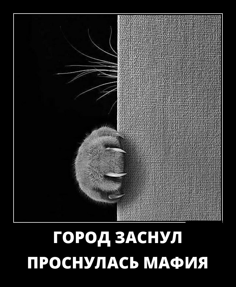 ГОРОД ЗАСНУЛ ПРОСНУЛАСЬ МАФИЯ