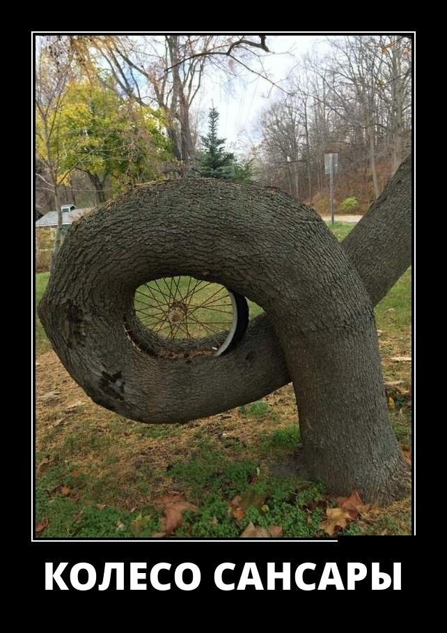 КОЛЕСО САНСАРЫ