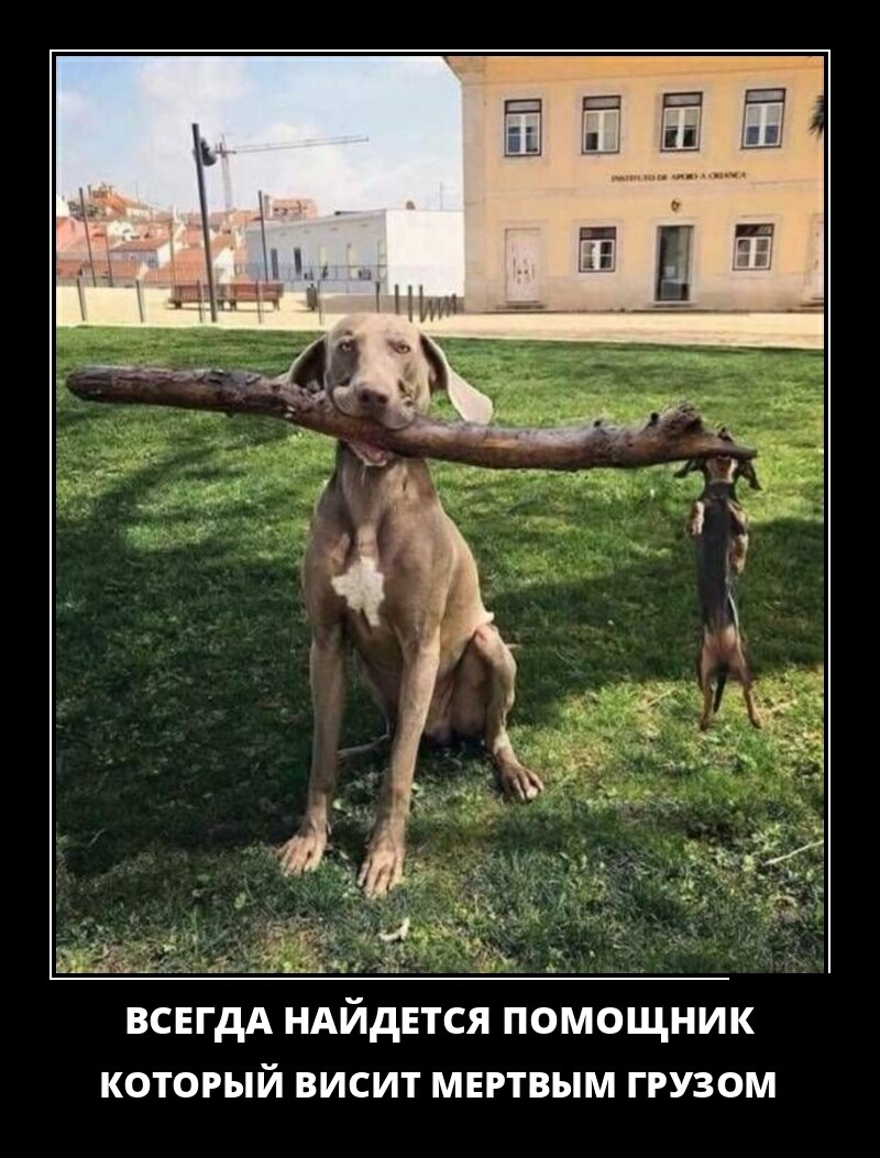 _ ВСЕГДА НАЙДЕТСЯ помощник который висит мвгтвым грузом