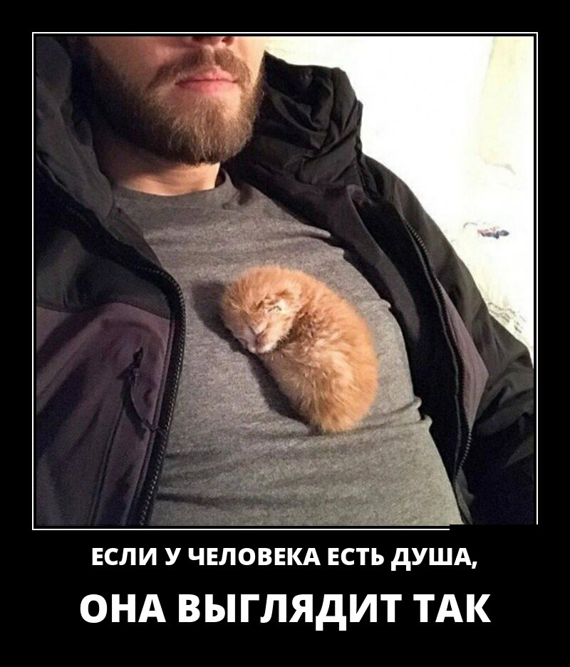 ЕСЛИ У ЧЕЛОВЕКА ЕСТЬ дУША ОНА ВЫГЛЯДИТ ТАК